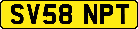 SV58NPT