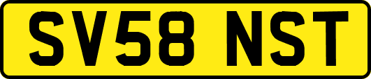 SV58NST