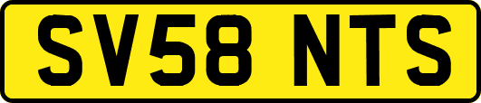 SV58NTS