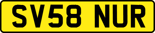 SV58NUR