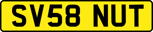 SV58NUT