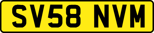 SV58NVM