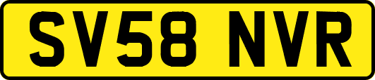 SV58NVR