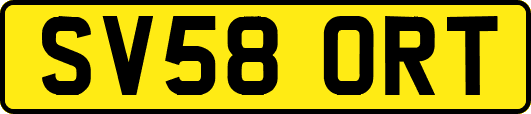 SV58ORT