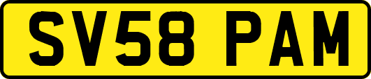 SV58PAM