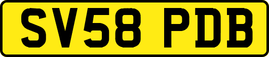SV58PDB