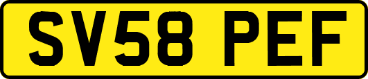 SV58PEF