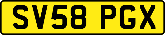 SV58PGX