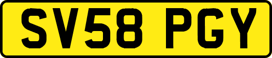 SV58PGY
