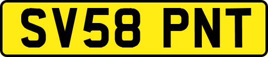 SV58PNT