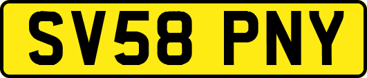 SV58PNY
