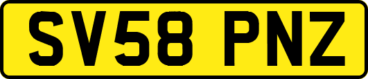 SV58PNZ