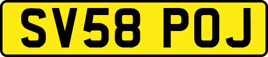 SV58POJ