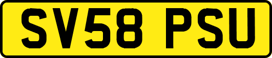 SV58PSU