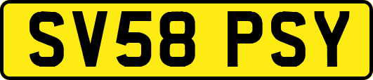 SV58PSY