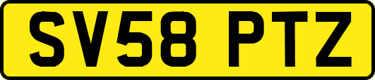 SV58PTZ