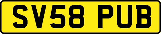 SV58PUB