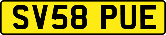SV58PUE