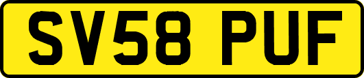 SV58PUF