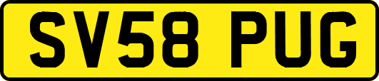 SV58PUG
