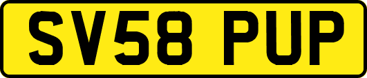 SV58PUP