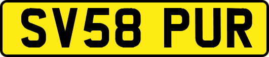 SV58PUR