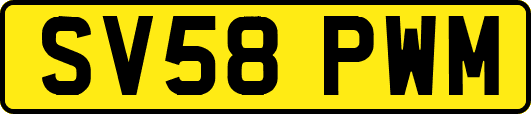 SV58PWM