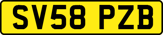 SV58PZB