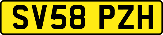 SV58PZH