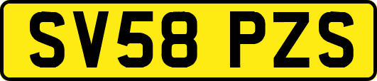 SV58PZS