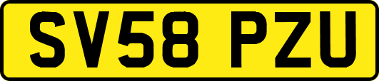 SV58PZU