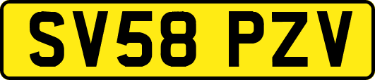 SV58PZV