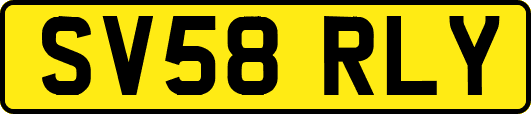 SV58RLY