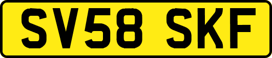SV58SKF