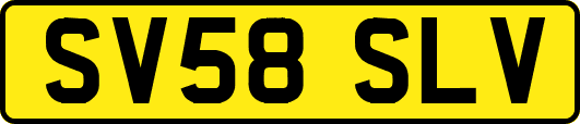 SV58SLV