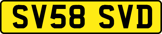 SV58SVD