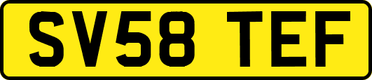 SV58TEF