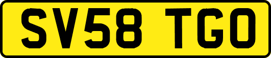 SV58TGO