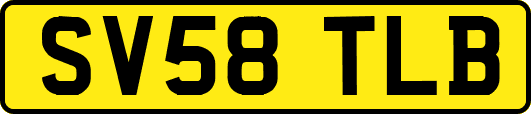SV58TLB