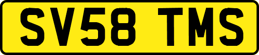 SV58TMS