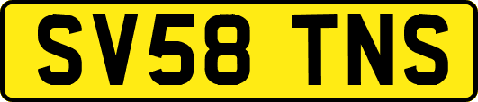SV58TNS
