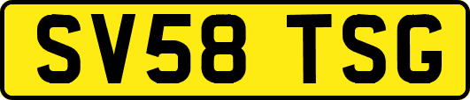 SV58TSG