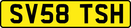 SV58TSH