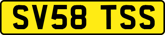 SV58TSS