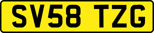 SV58TZG