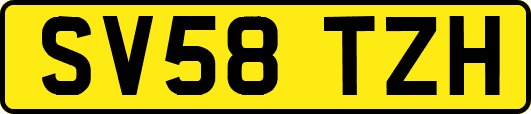 SV58TZH