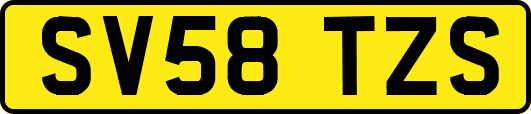 SV58TZS