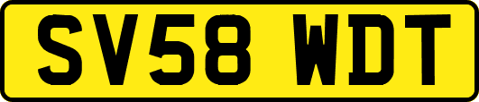 SV58WDT