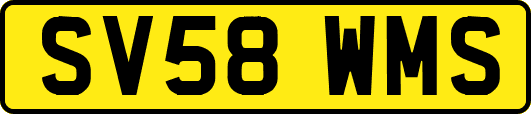 SV58WMS