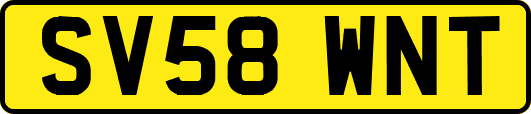 SV58WNT